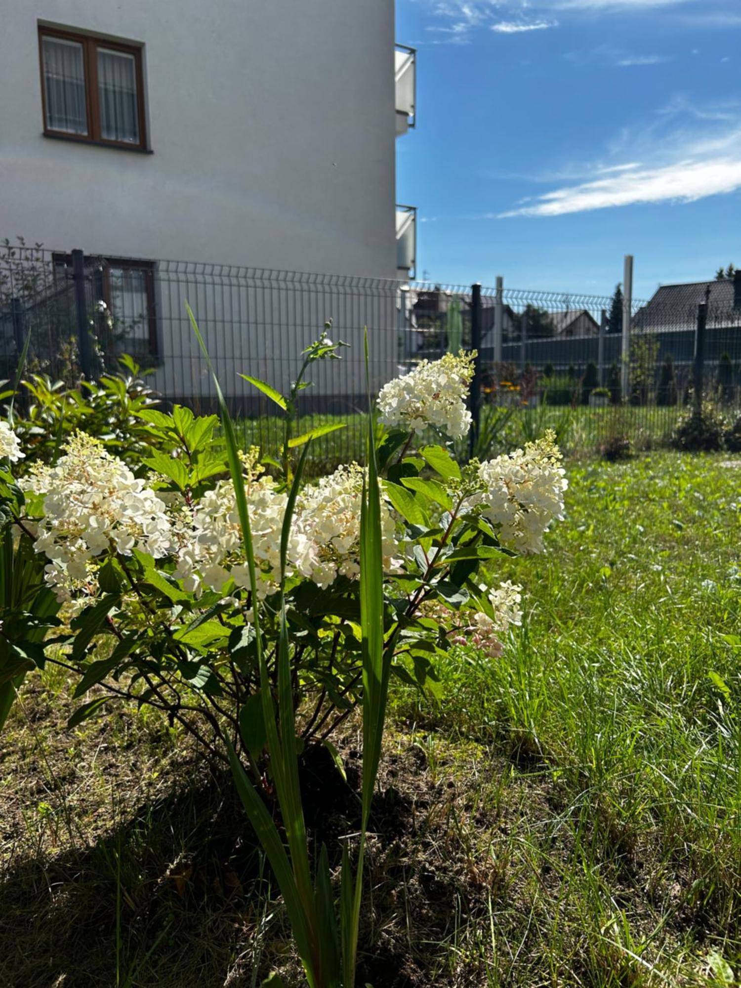 M&M Apartament Glogera Krasków Εξωτερικό φωτογραφία